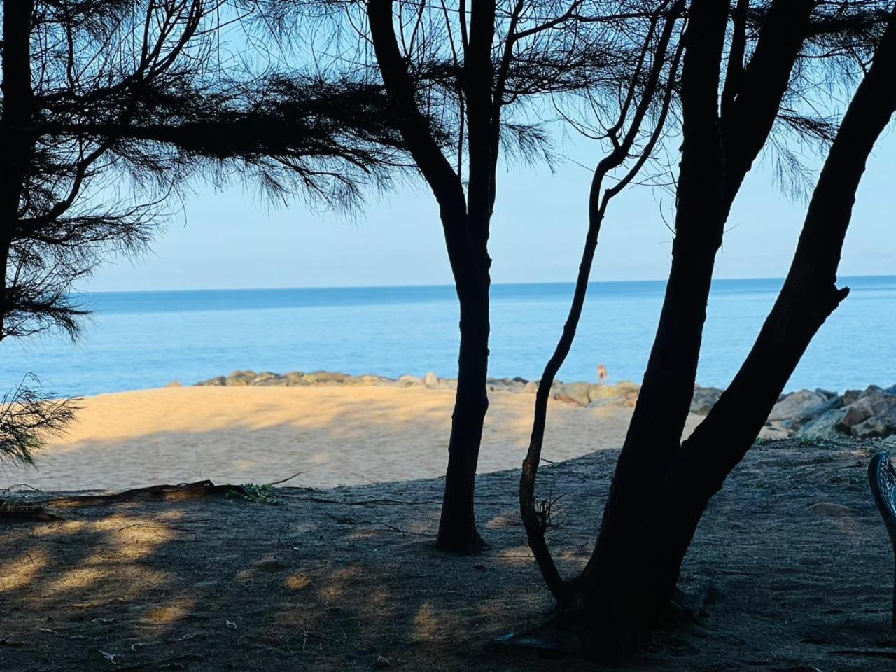 Omeesha Beach Hotel Kalpitiya Exterior foto